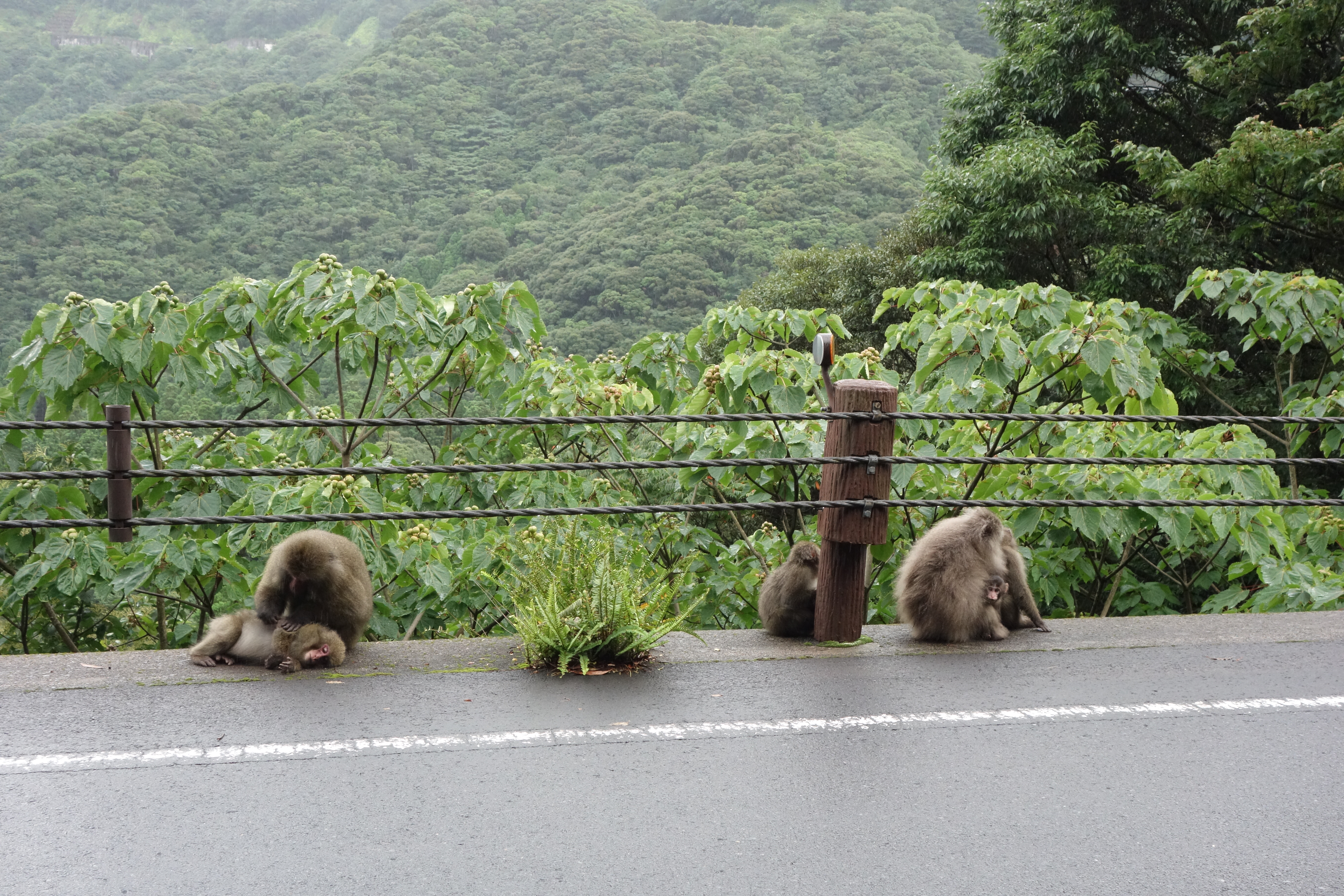 コンフォートUを旅のお供に