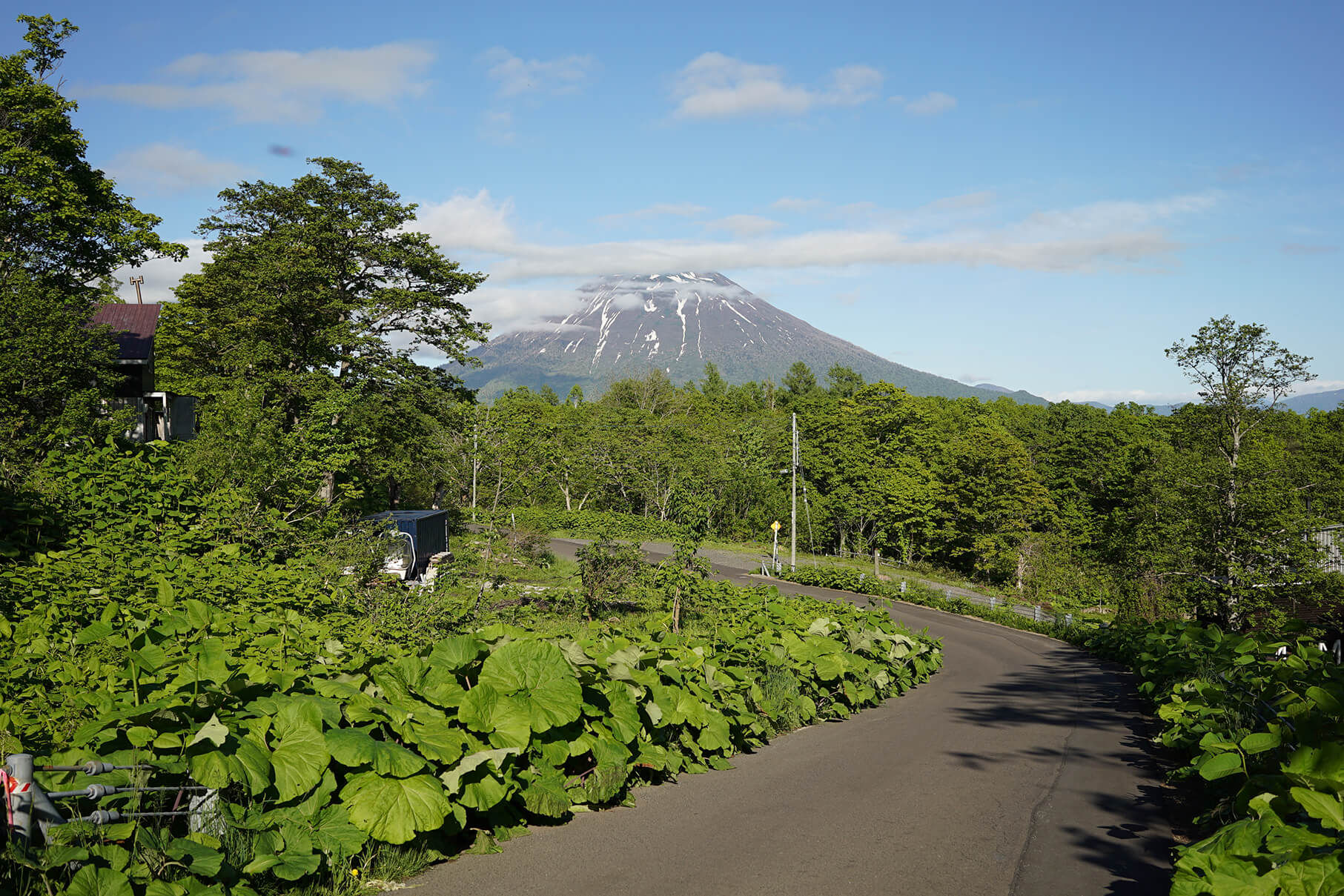 都会暮らしから田舎暮らしへ